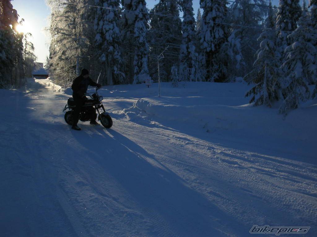 2006 SUZUKI PV 60 | Picture 516237 motorcycle photo