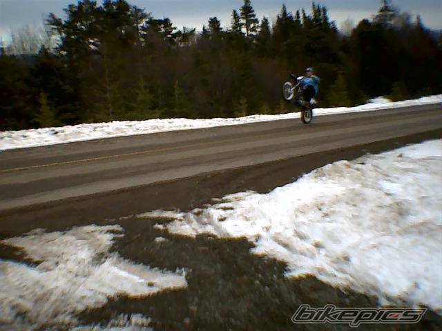 2004 YAMAHA TTR 125 | Picture 516260 motorcycle photo