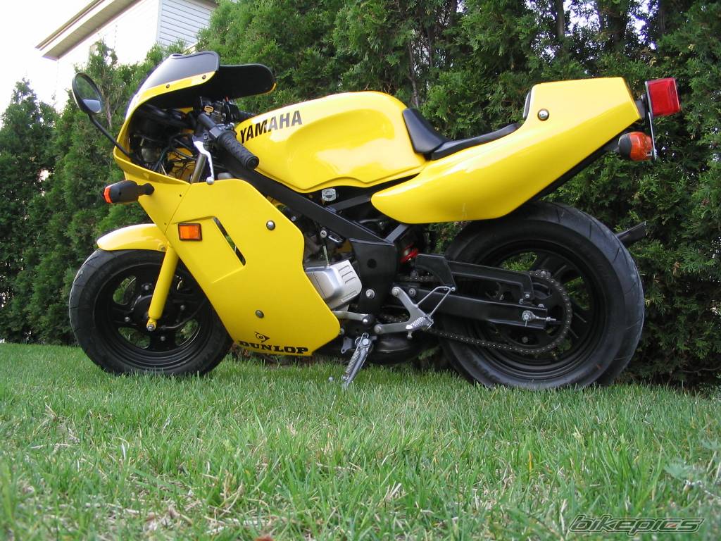 1989 YAMAHA YSR 50 | Picture 517332 motorcycle photo