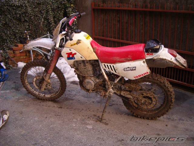 1991 YAMAHA TTR 350 | Picture 517417 motorcycle photo