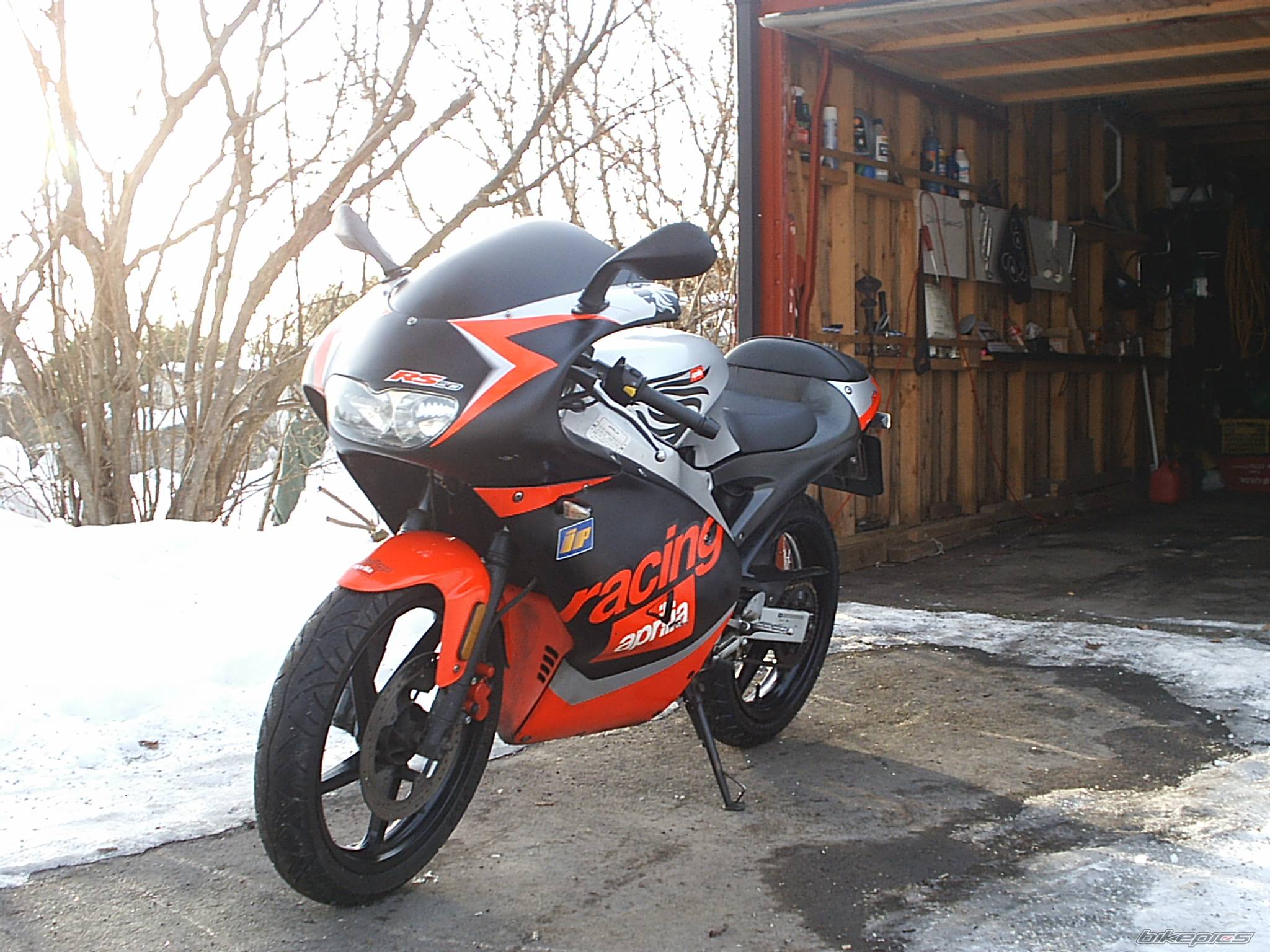 2001 APRILIA RS 50 | Picture 517457 motorcycle photo