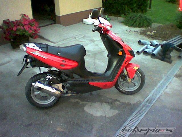 1972 WSK 125 | Picture 517534 motorcycle photo
