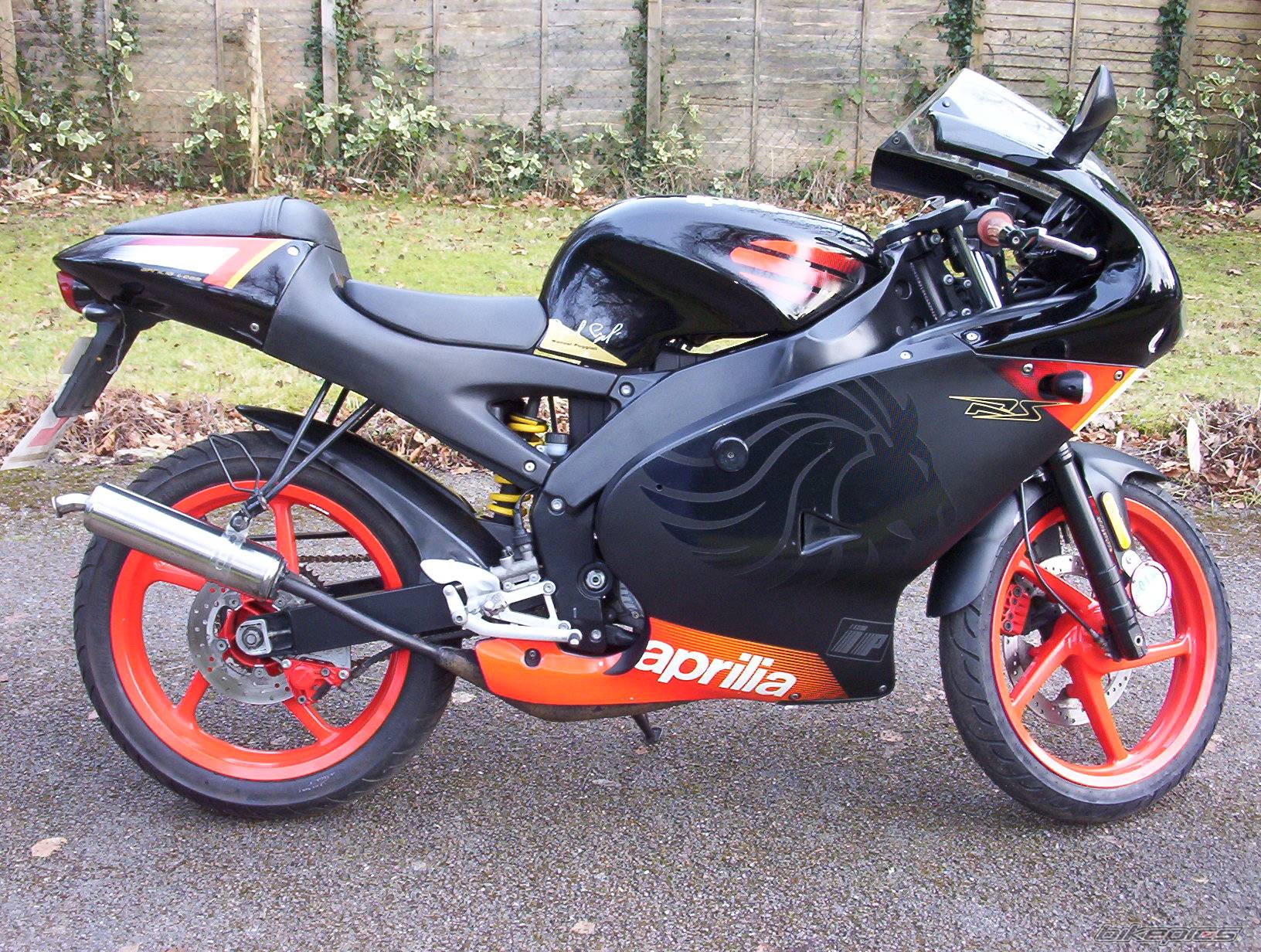 2004 APRILIA RS 50 | Picture 517597 motorcycle photo