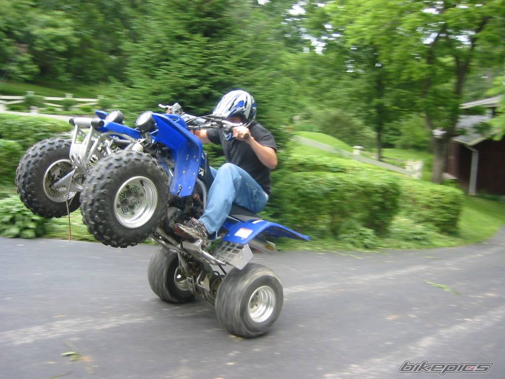 2002 YAMAHA BANSHEE | Picture 51864 motorcycle photo