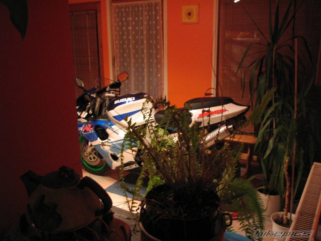 2000 SUZUKI TL1000R | Picture 518670 motorcycle photo
