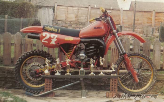 1981 MAICO ONLY ALPHA 1 490 | Picture 519318 motorcycle photo