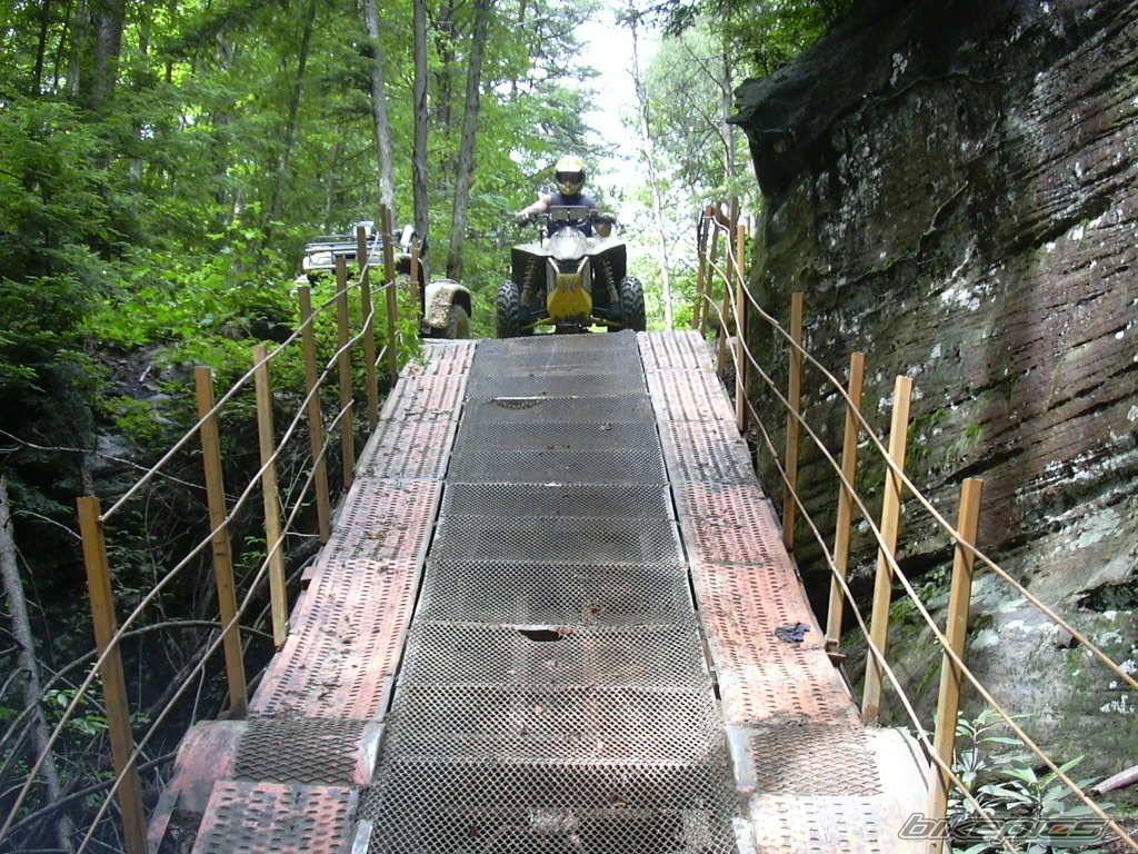 2003 POLARIS SCRAMBLER 500 | Picture 519447 motorcycle photo