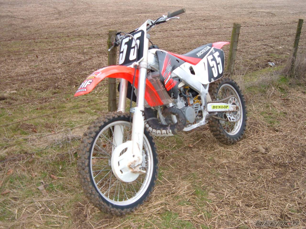 1999 HONDA CR 250 | Picture 520085 motorcycle photo