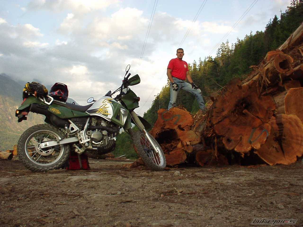 2002 KAWASAKI KLR 650 | Picture 52014 motorcycle photo