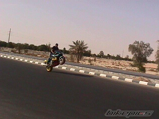 2002 SUZUKI GSX R 1000 | Picture 52071 motorcycle photo