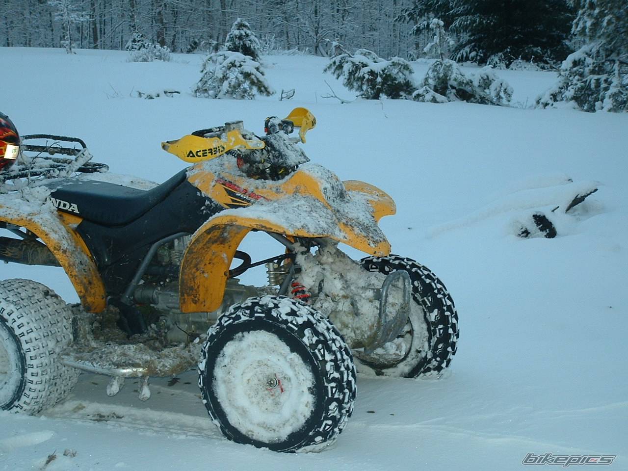 1997 YAMAHA BANSHEE | Picture 520852 motorcycle photo