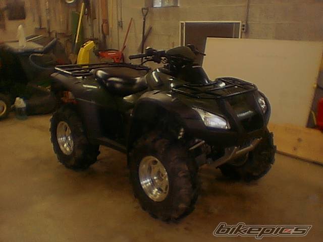 2003 HONDA RINCON | Picture 52171 motorcycle photo