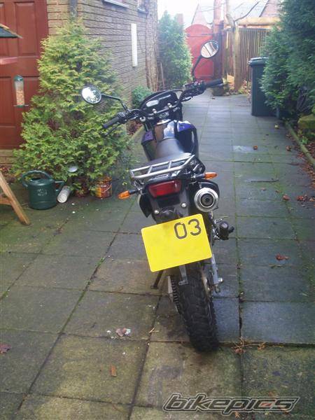2003 HONDA XR 125 | Picture 522080 motorcycle photo