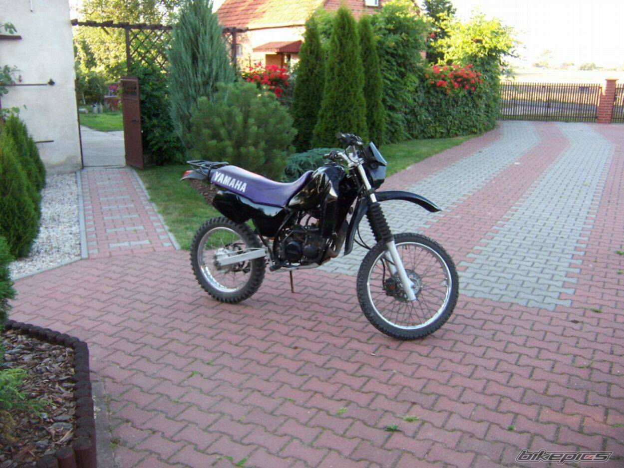 1993 YAMAHA DT 80 | Picture 522130 motorcycle photo