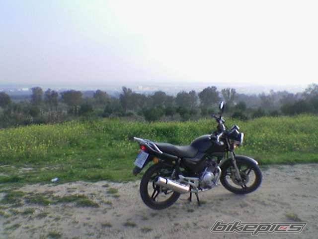 2006 YAMAHA YBR 125 | Picture 522235 motorcycle photo