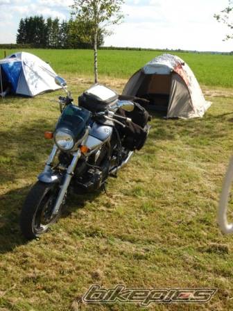 2005 YAMAHA BULLDOG | Picture 522981 motorcycle photo