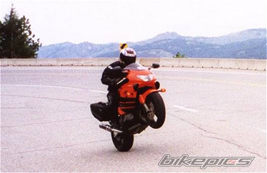 2000 HONDA CBR 600 | Picture 52331 motorcycle photo