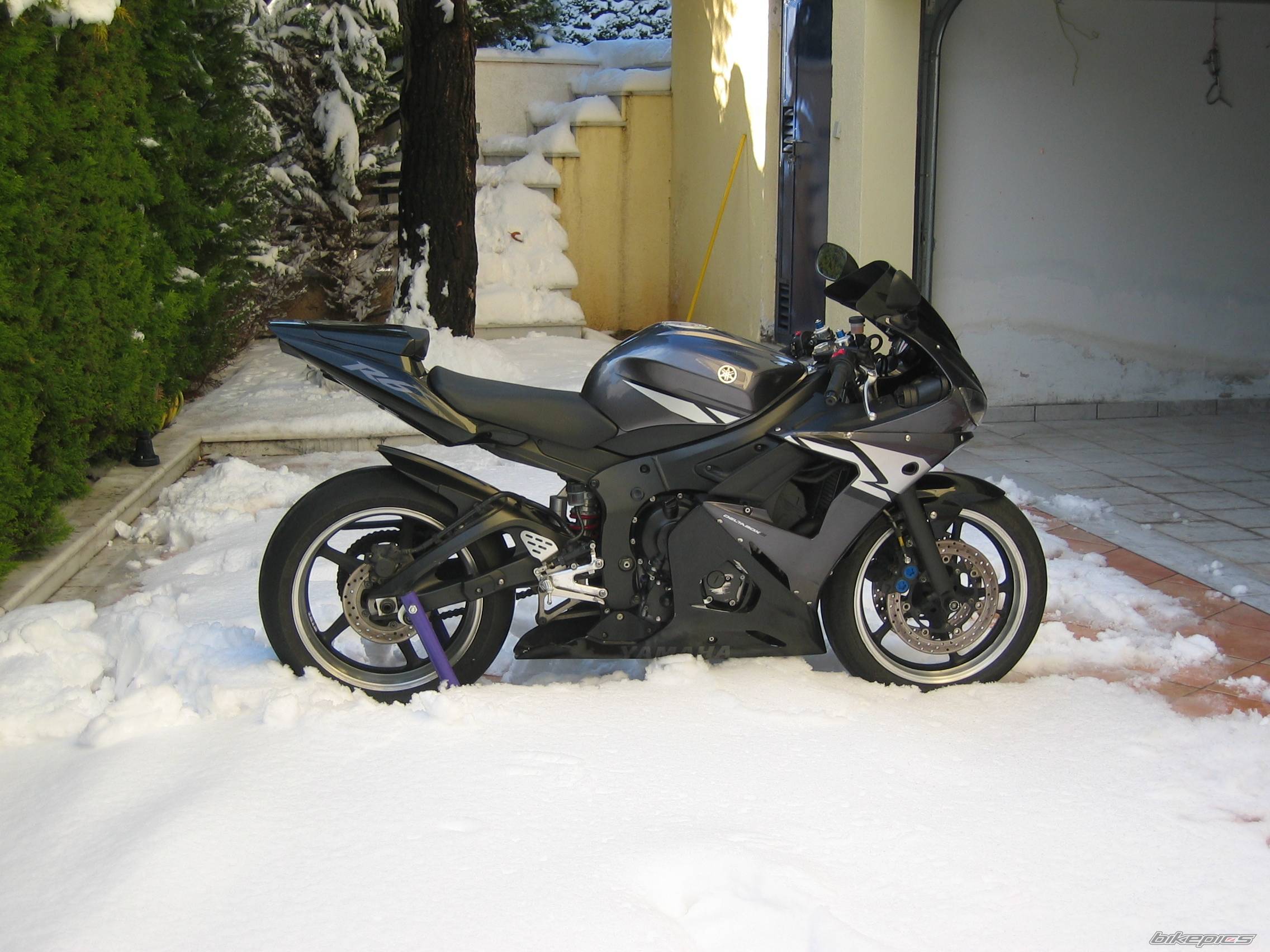 2004 YAMAHA YZF R6 | Picture 523451 motorcycle photo