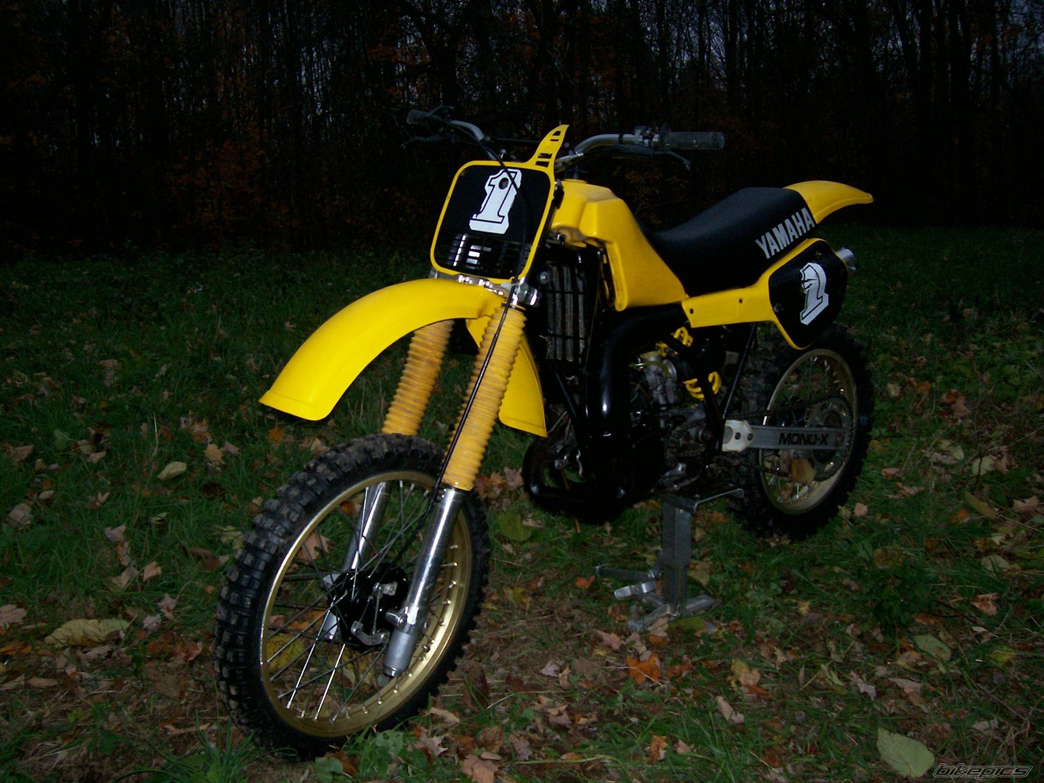 1983 YAMAHA YZ 250 | Picture 523534 motorcycle photo