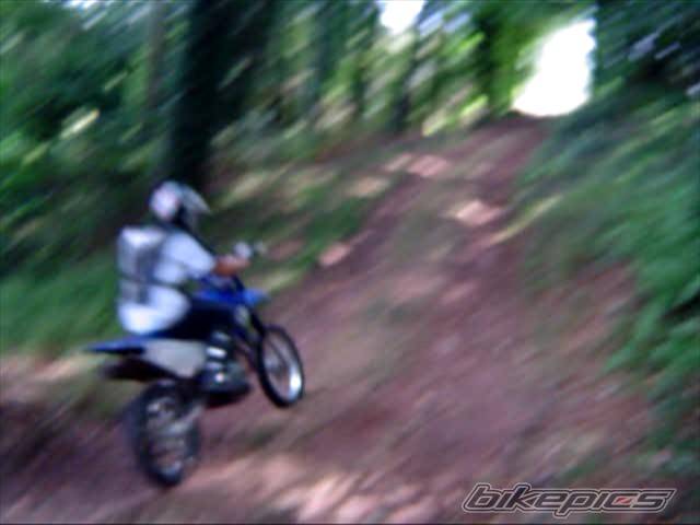 2004 YAMAHA YZ 85 | Picture 523634 motorcycle photo