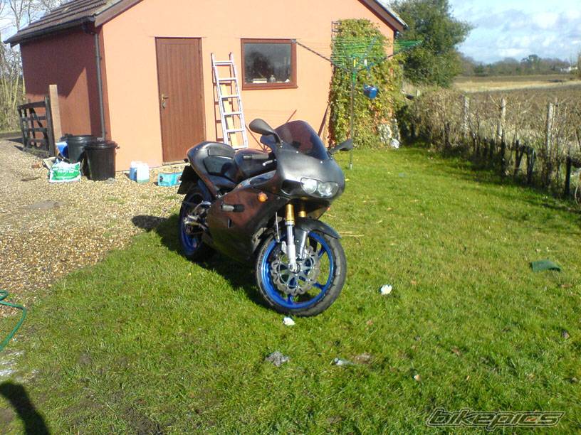 2003 APRILIA RS 125 | Picture 523912 motorcycle photo