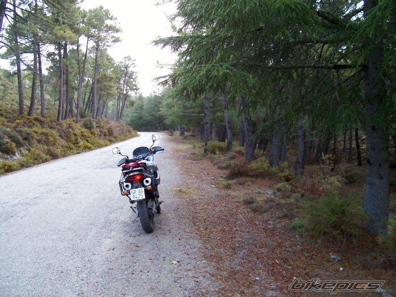 1998 APRILIA PEGASO 650 | Picture 524426 motorcycle photo