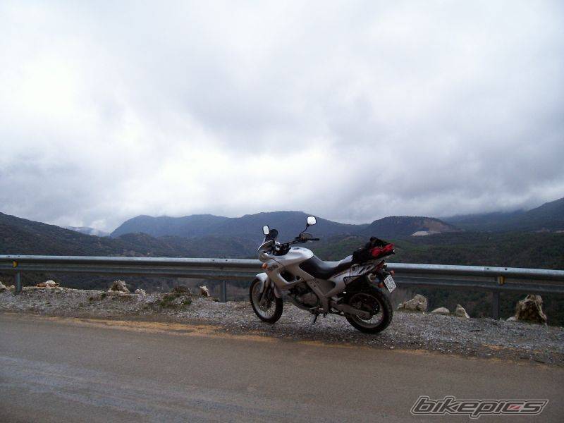 1998 APRILIA PEGASO 650 | Picture 524440 motorcycle photo