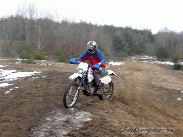 1993 SUZUKI DR 350 | Picture 525081 motorcycle photo