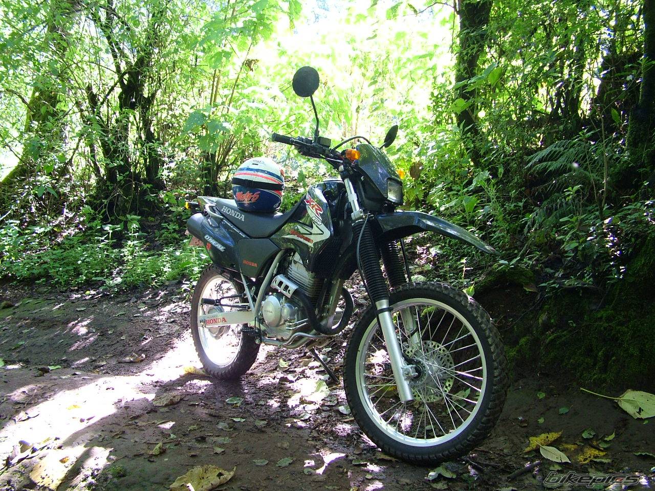 2005 HONDA XR TORNADO | Picture 525298 motorcycle photo