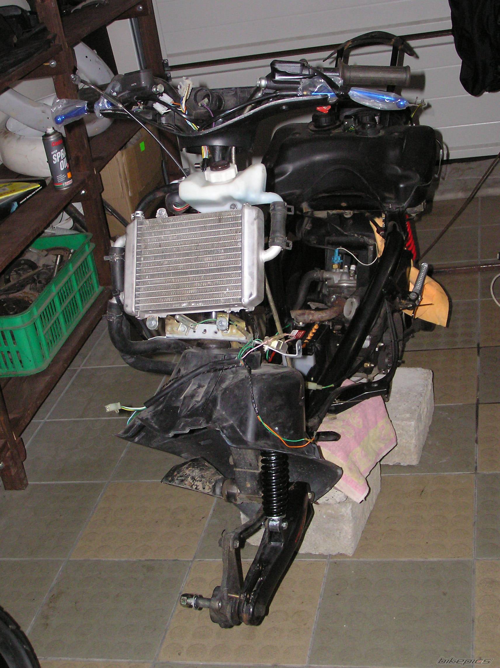 2006 PEUGEOT SPEEDFIGHT2 50 | Picture 525468 motorcycle photo