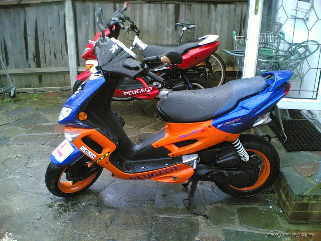 1998 PEUGEOT SPEEDFIGHT2 50 | Picture 525607 motorcycle photo