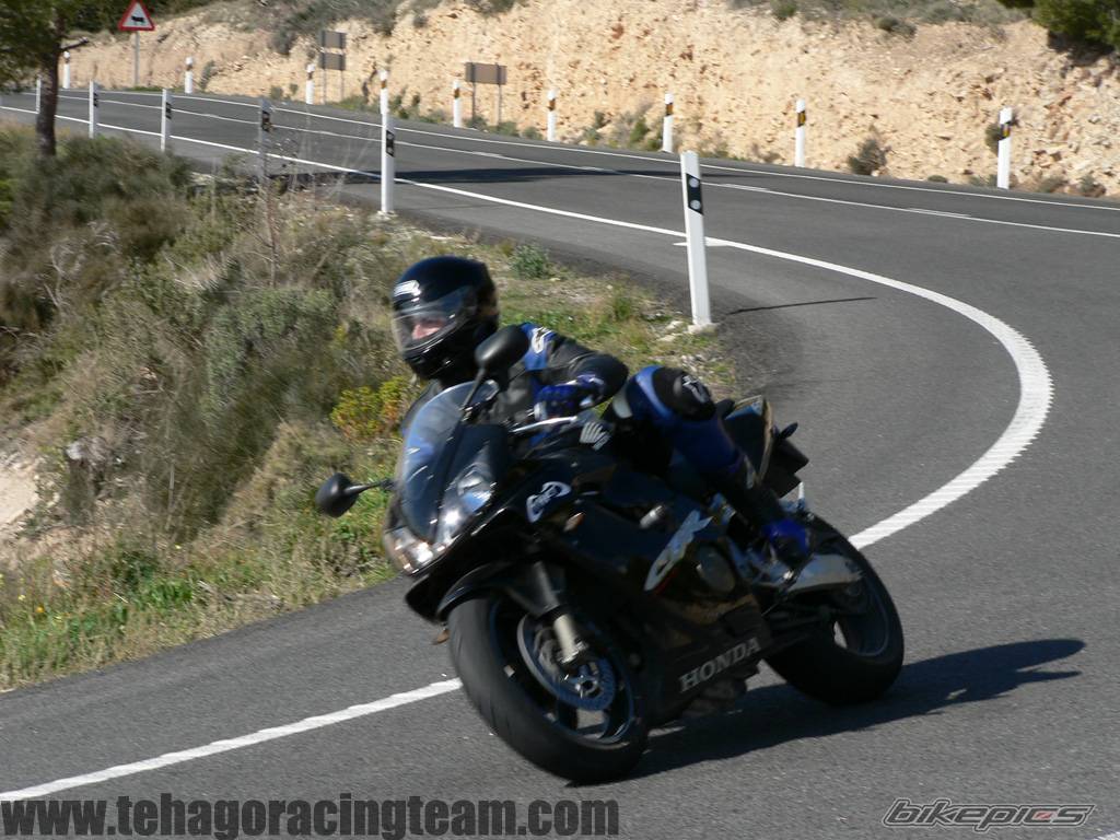 2005 HONDA CBR 600 | Picture 525940 motorcycle photo