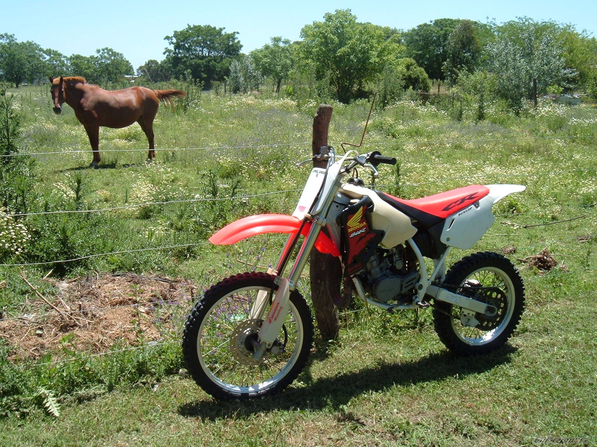1997 HONDA CR 80 | Picture 525946 motorcycle photo