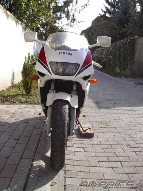1990 YAMAHA FZR 250 | Picture 526 motorcycle photo