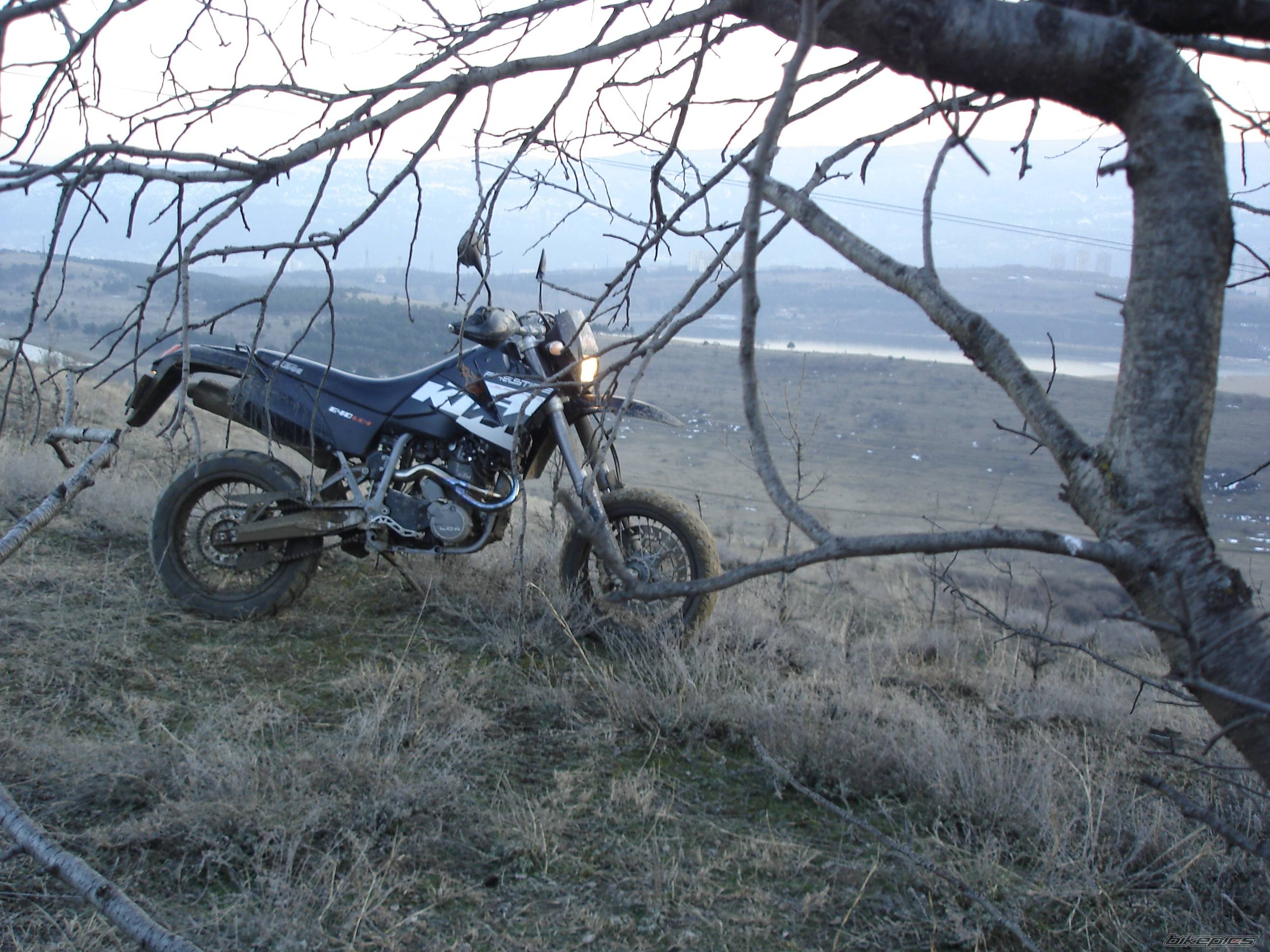 2004 KTM 640 LC4 | Picture 526933 motorcycle photo