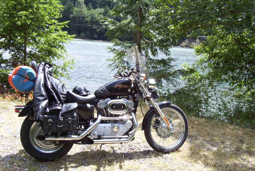 2001 HARLEY DAVIDSON XL 883C | Picture 52709 motorcycle photo