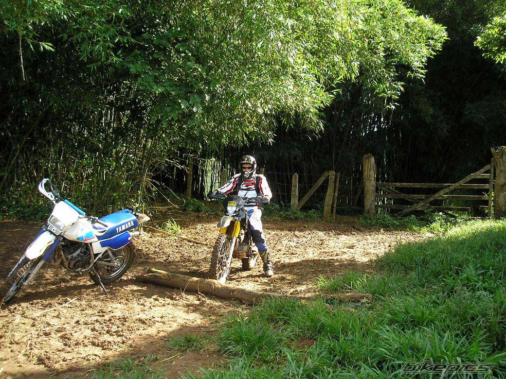 1989 HONDA XLX 250 | Picture 527092 motorcycle photo