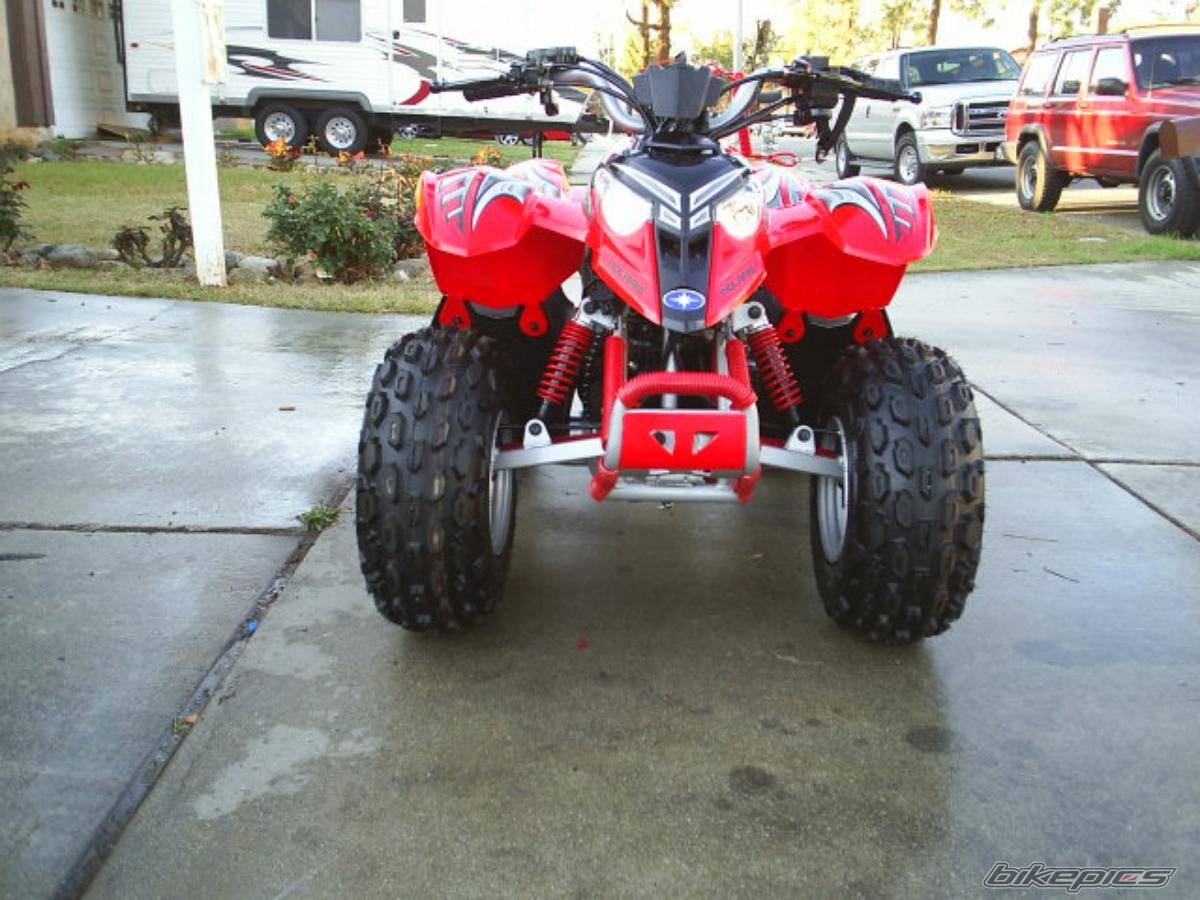 2005 POLARIS PREDATOR 50 | Picture 527119 motorcycle photo