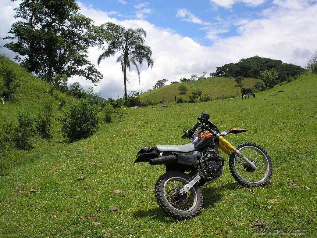 1989 HONDA XLX 250 | Picture 528182 motorcycle photo