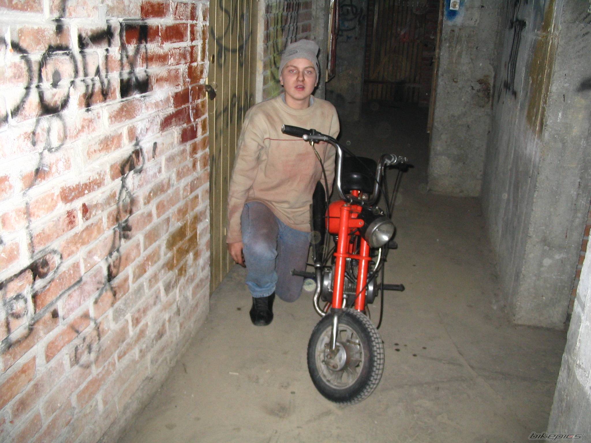 2006 ROMET PONY MOTORYNKA | Picture 528829 motorcycle photo