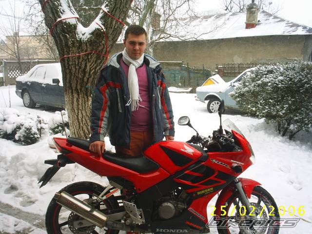 2004 HONDA CBR 125 | Picture 528981 motorcycle photo