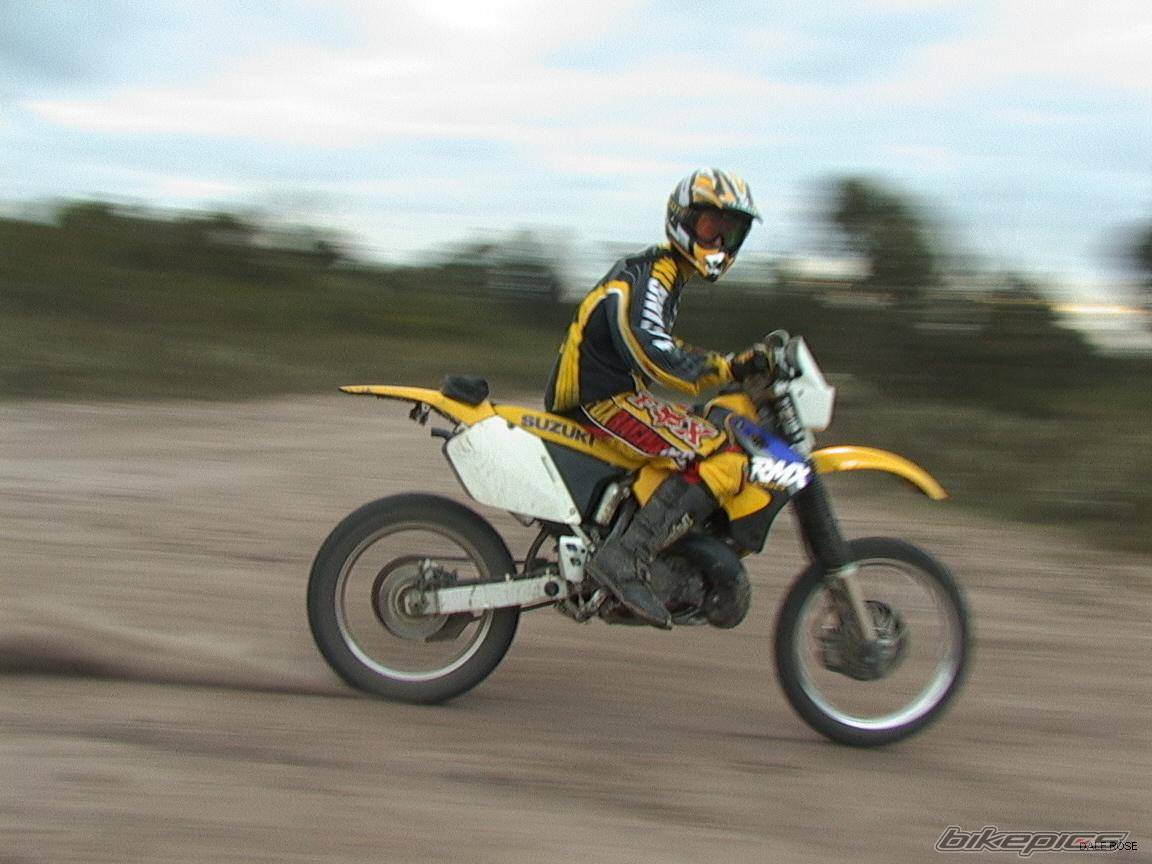 2000 SUZUKI RMX 250 | Picture 52921 motorcycle photo