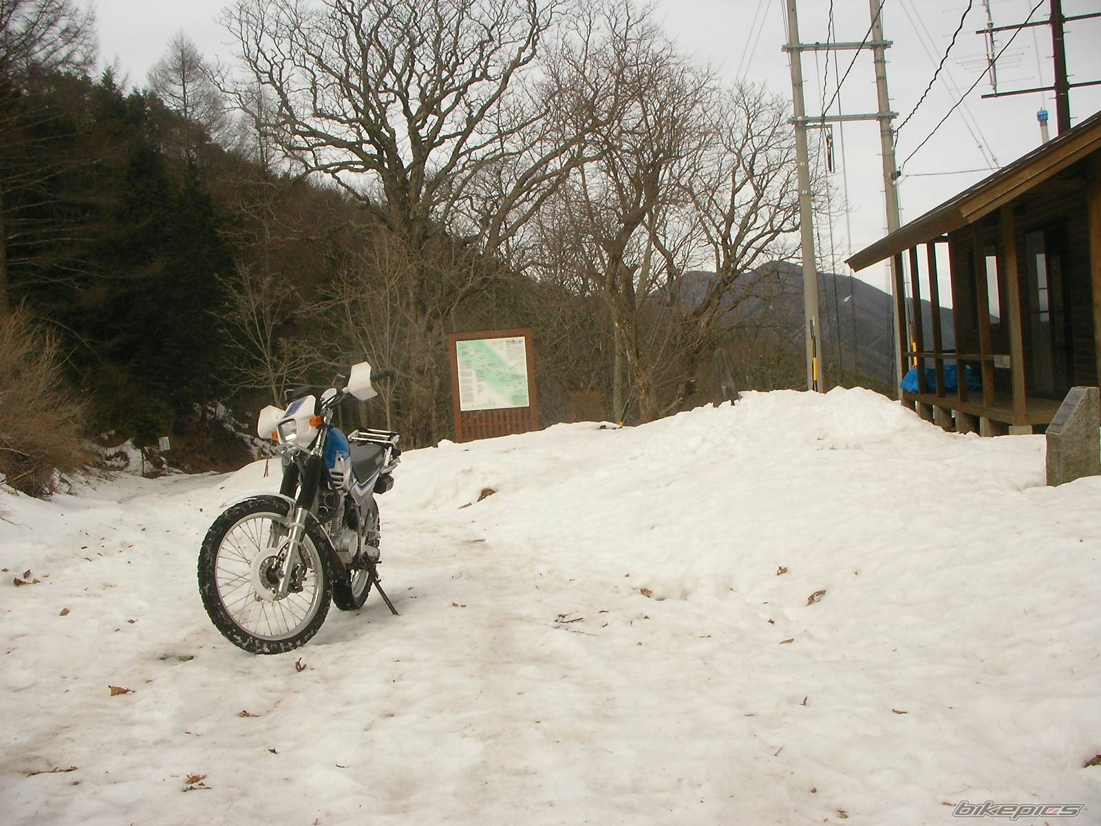 2004 YAMAHA XT 225 | Picture 530024 motorcycle photo