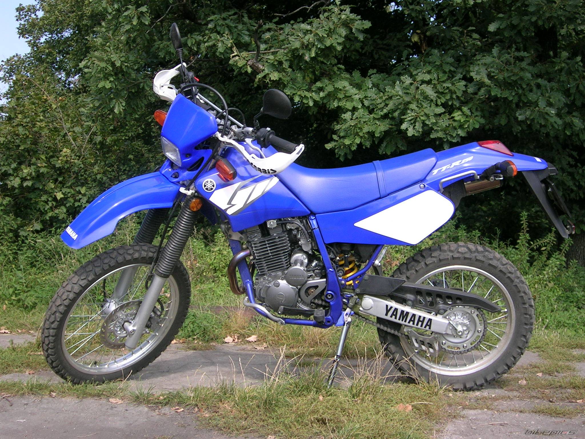 2004 YAMAHA TTR 250 | Picture 530156 motorcycle photo
