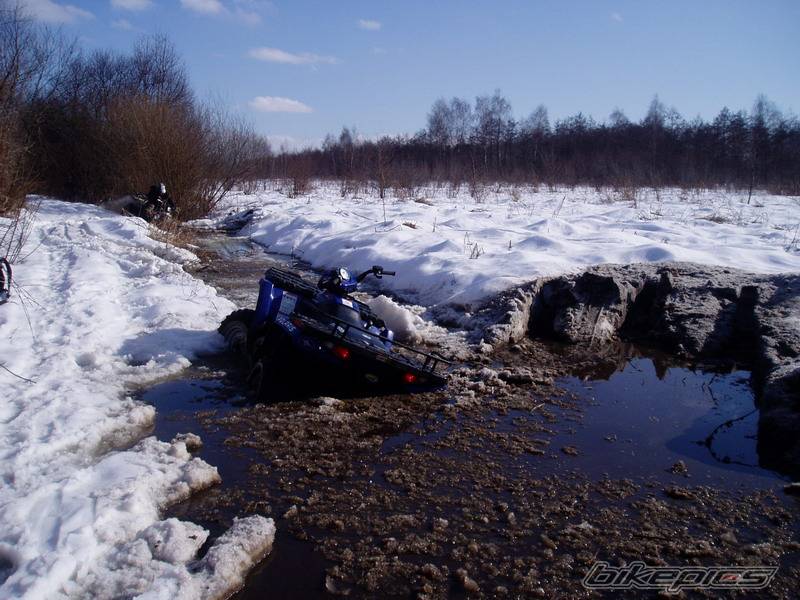 2005 POLARIS SPORTSMAN 400 | Picture 530511 motorcycle photo