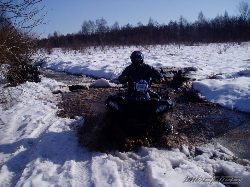 2005 POLARIS SPORTSMAN 400 | Picture 530522 motorcycle photo
