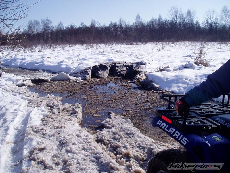 2005 POLARIS SPORTSMAN 400 | Picture 530523 motorcycle photo