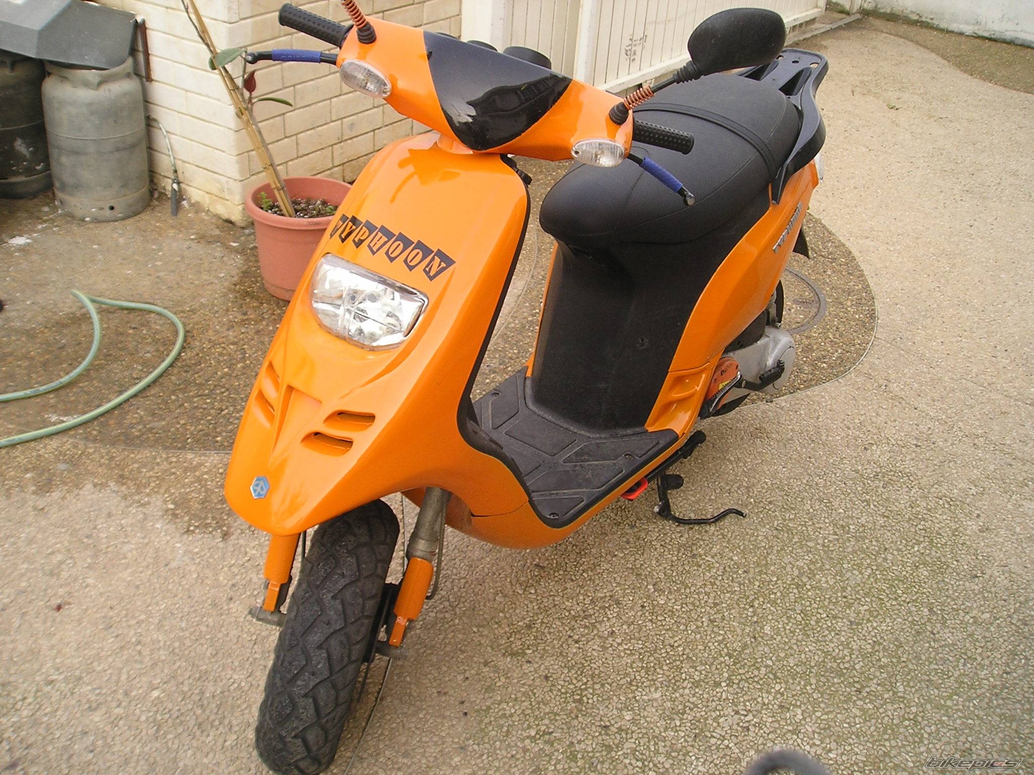 1995 PIAGGIO TYPHOON 50 | Picture 530879 motorcycle photo