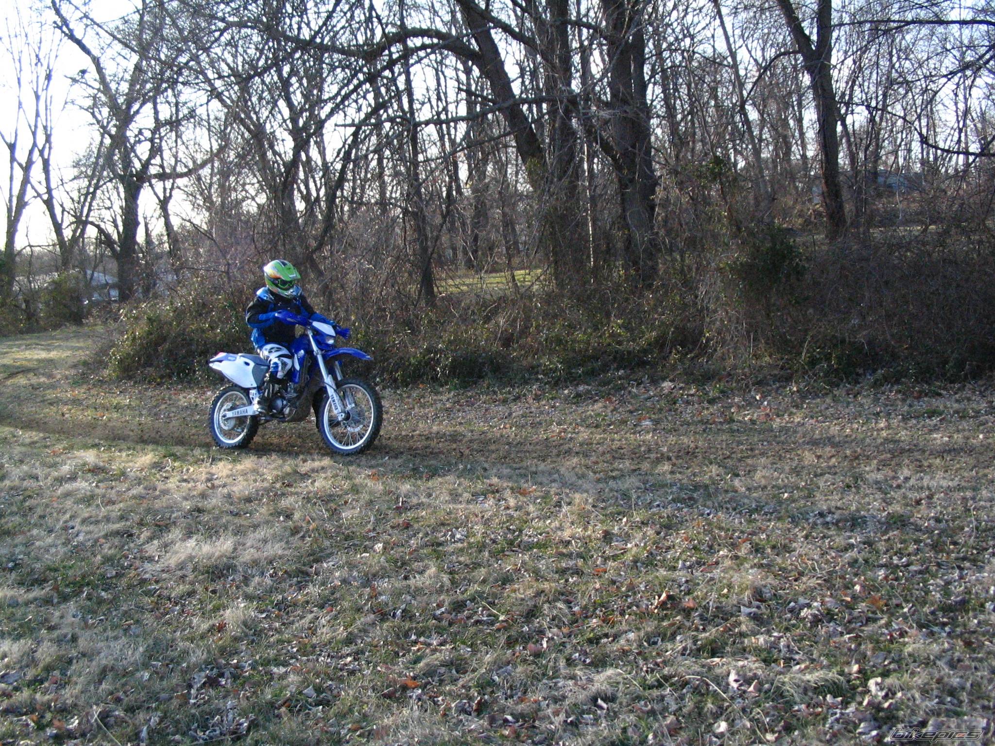 2002 YAMAHA WR 250F | Picture 530891 motorcycle photo