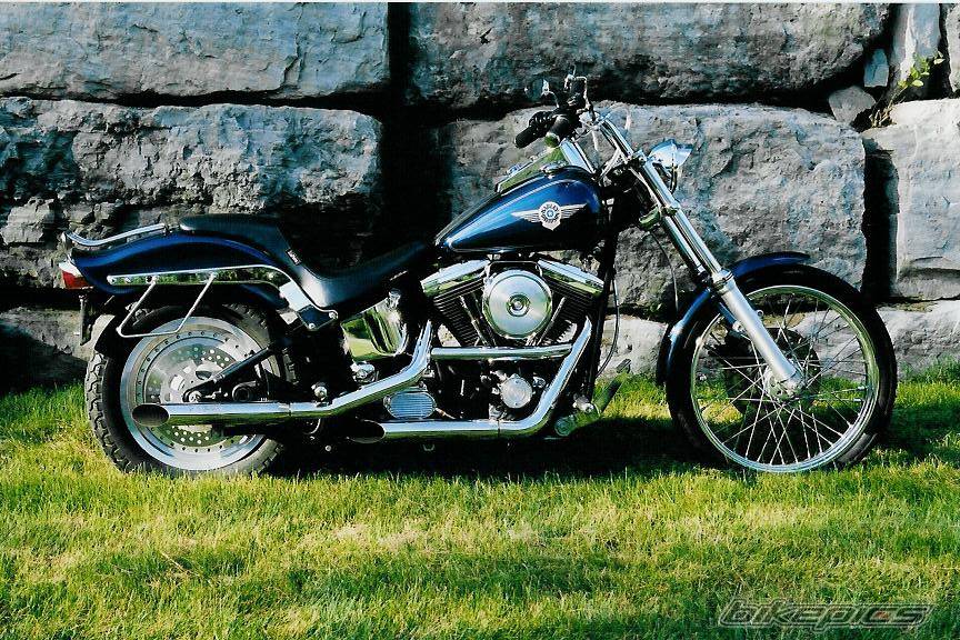 1996 HARLEY DAVIDSON FXSTC | Picture 530936 motorcycle photo